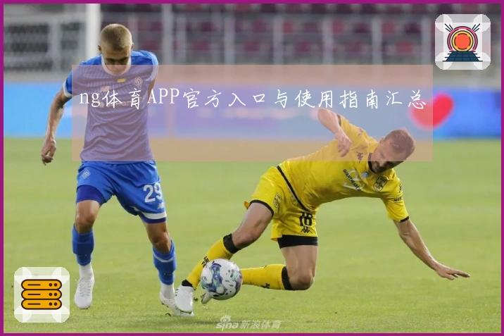 ng体育APP官方入口与使用指南汇总
