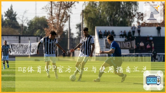 ng体育APP官方入口与使用指南汇总