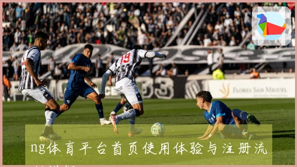 ng体育平台首页使用体验与注册流程详解