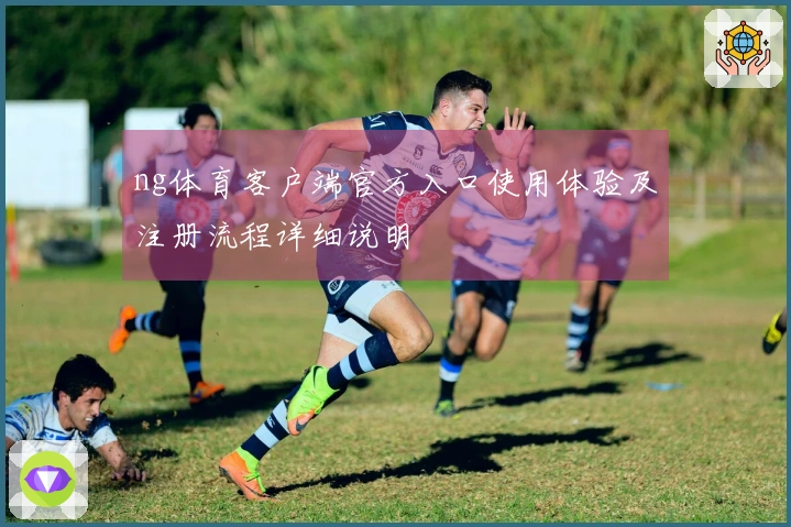 ng体育客户端官方入口使用体验及注册流程详细说明