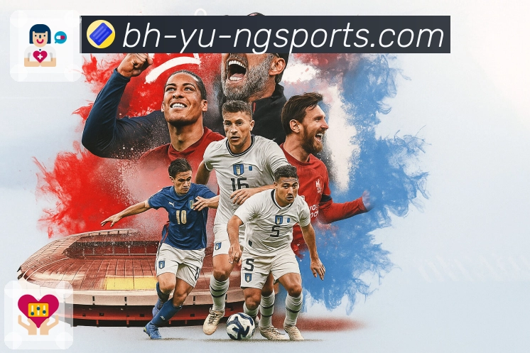 ng体育APP 封面图